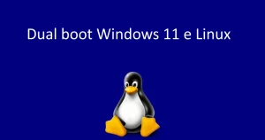 Dual boot Windows 11 e Linux