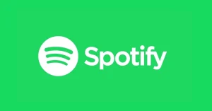 Come scaricare musica da Spotify su chiavetta USB
